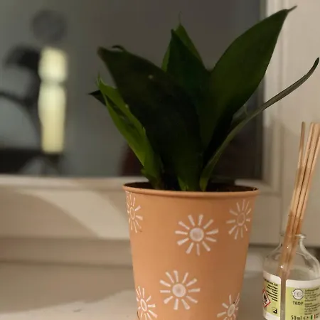 公寓 Piano Halle Center - Netflix - Free Wifi 2 Halle (Saale)