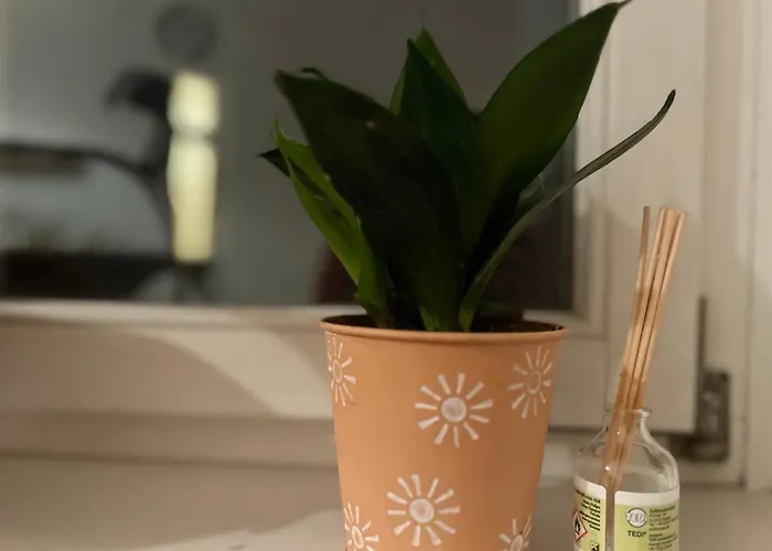 Apartmán Piano Halle Center - Netflix - Free Wifi 2 Halle (Saale)